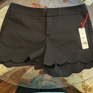 NWT Elle brand black shorts